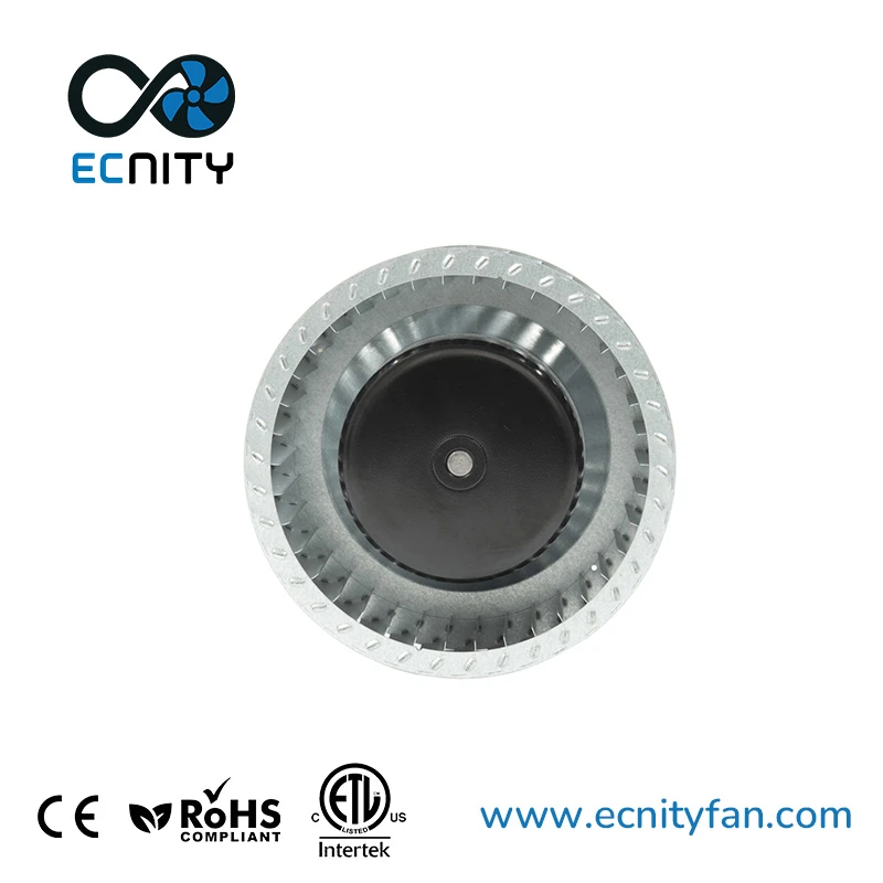 product-800-800